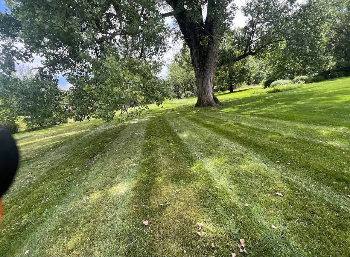 View project image 1