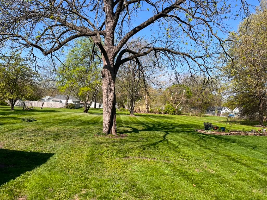 View project image 11