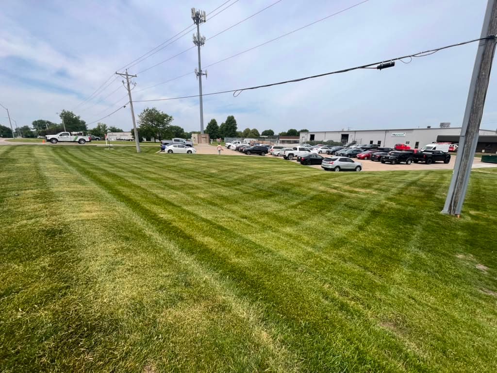 View project image 9
